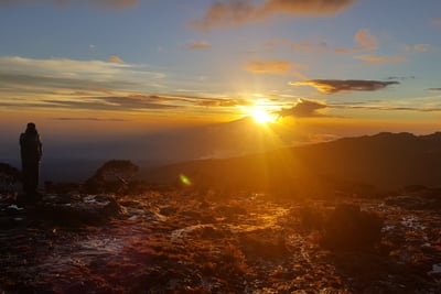 generic_ctas_2022_donate image