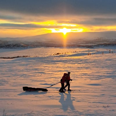 Arctic