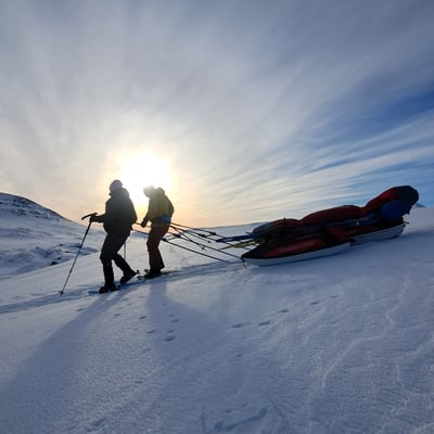 Arctic