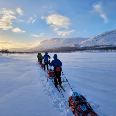 Arctic