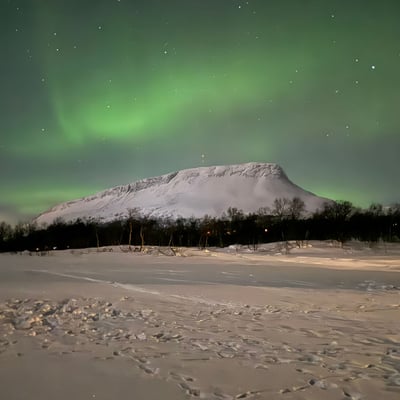 Arctic