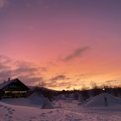 Arctic
