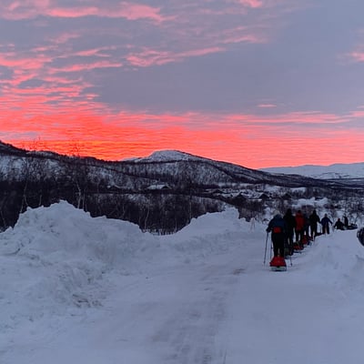 Arctic