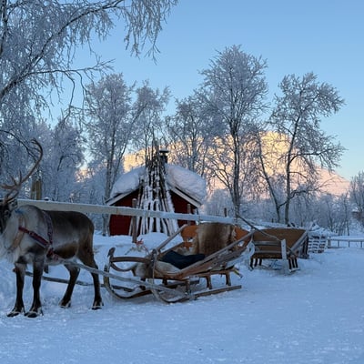 Arctic