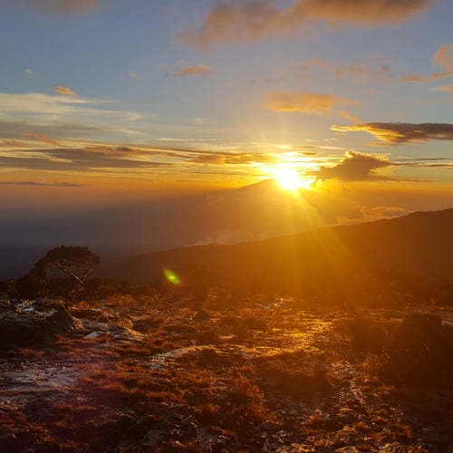 Climb Kilimanjaro thumbnail