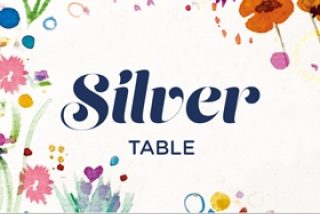 noballball_silver_table image