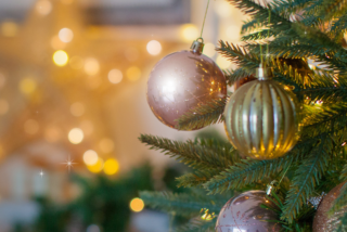 in_mem_2025_dedication image