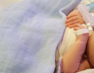 Alex's Story image