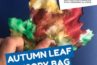 Autumn Leaf Sensory Bag image