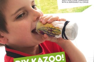 DIY Kazoo image