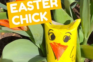 Easter Chick image