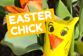 Easter Chick image
