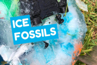 Ice Fossils image