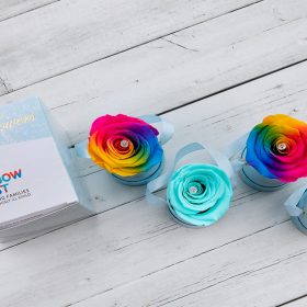 Mika Flowers partners with Rainbow Trust Children’s Charity to provide gift for loved ones thumbnail