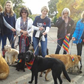 Family Support Worker, Claire, hosts Big Hour Dog Walk thumbnail