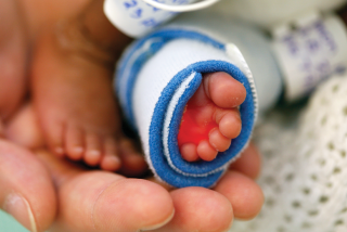 Baby Loss Awareness Week image