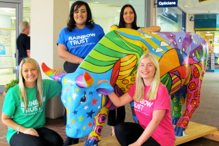 Rainbow Trust’s cow mooves to Leatherhead for CowParade Surrey image