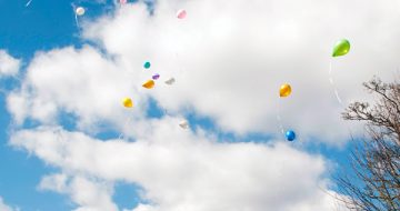 Bereavement leave debated in Parliament image