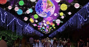 UK Art Lantern Festival lights up for Rainbow Trust image