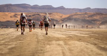 Ultra-runner takes on Marathon Des Sables for Rainbow Trust image