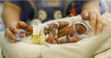 Neonatal care and support – the challenges of piloting a new service image
