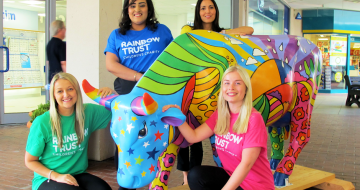 Rainbow Trust’s cow mooves to Leatherhead for CowParade Surrey image