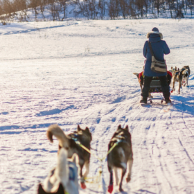 Dog Sledding Challenge thumbnail