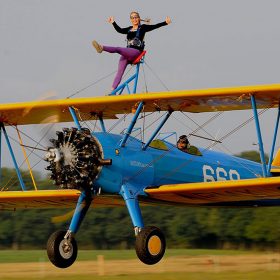 Wing Walk thumbnail