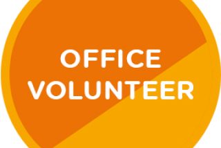 Policy and Public Affairs Volunteer image